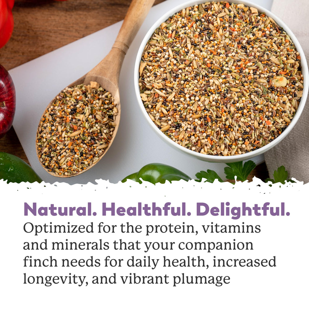 Indoor birds savor Dr. Harvey’s Fabulous Finch Food in a simple feeder