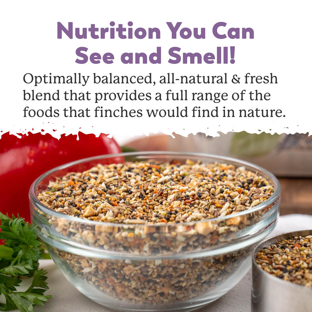 Dr. Harvey’s Fabulous Finch Food close-up of seeds and nuts for finch nutrition