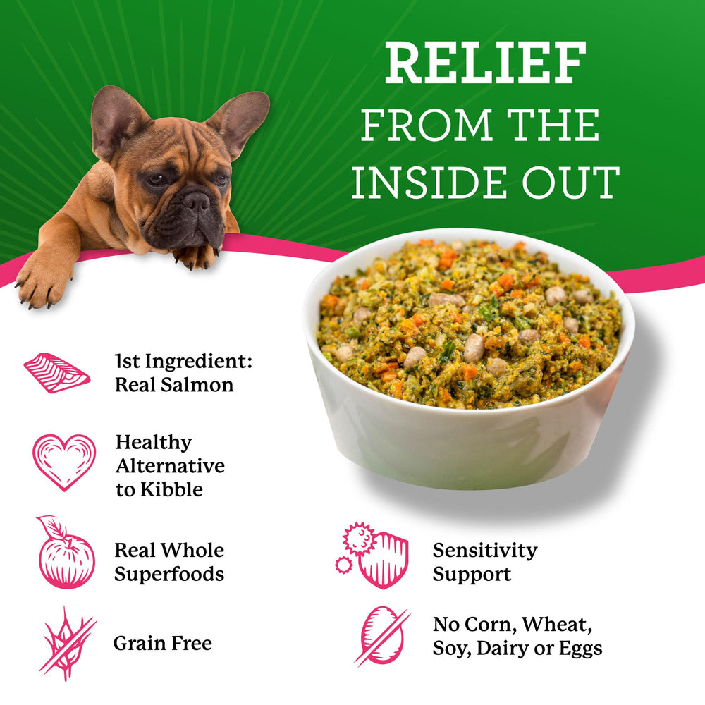 Dr. Harvey's five-pound bag rehydrates to twenty pounds of meals.