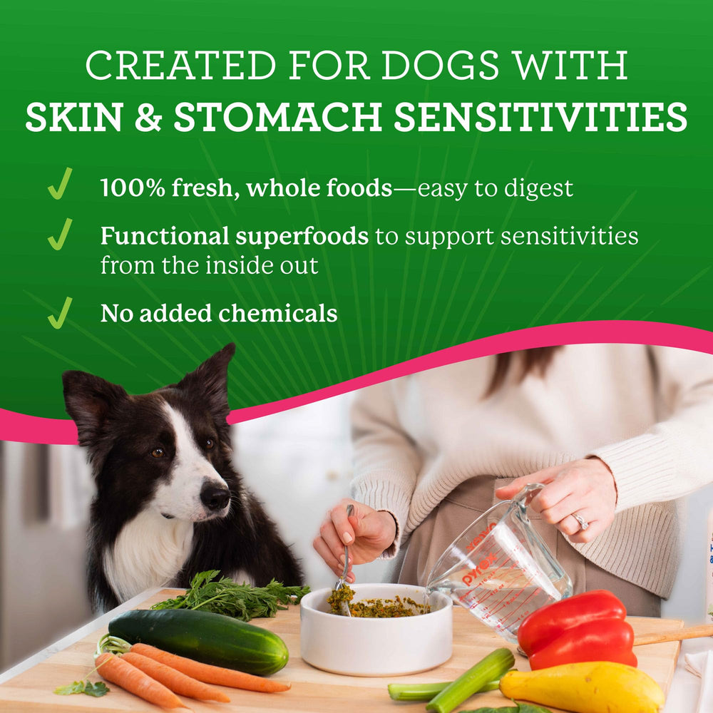 Freeze-dried salmon ingredients preserve nutrients for easy digestion.