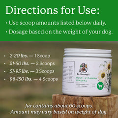 Powder being added to a dog's meal for a nutrient boost.
