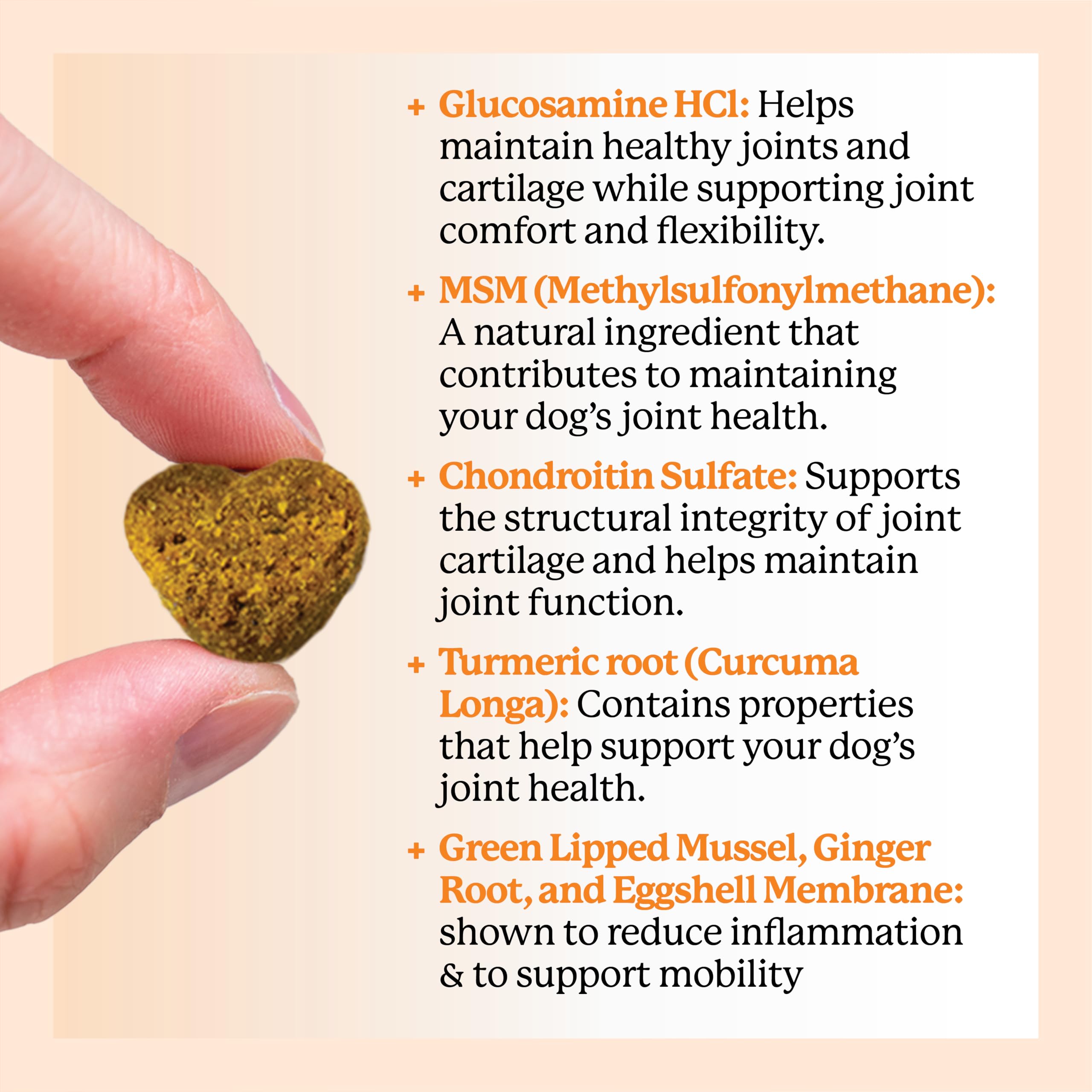 Packaging highlights Glucosamine, Chondroitin, and MSM ingredients.