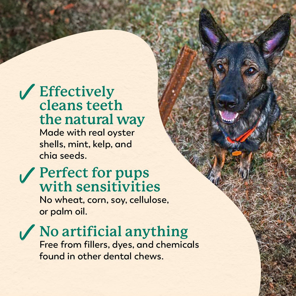Dr. Harvey's Holistix Dental Chews ingredients showcase sweet potato and chia for nutrition.