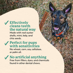 Dr. Harvey's Holistix Dental Chews ingredients showcase sweet potato and chia for nutrition.