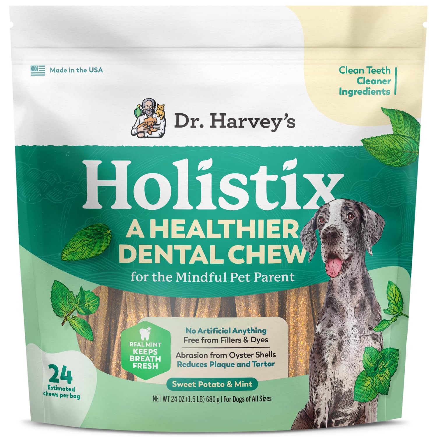Dr. Harvey's Holistix Dental Chews packaging for dogs, a tasty dental care option.