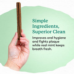 Dr. Harvey's Holistix Dental Chews texture close-up shows ideal chew size for dogs.