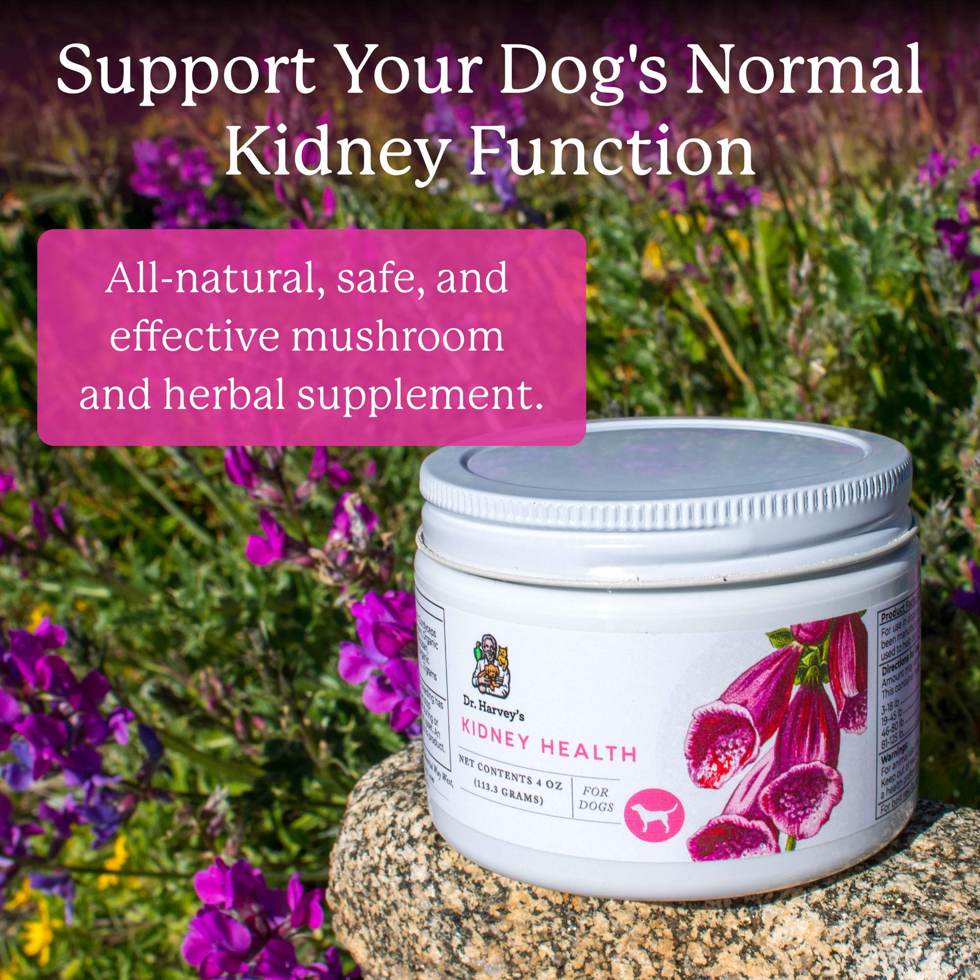 Organic mushroom blend used in Dr. Harvey's Kidney Health for dogs.
