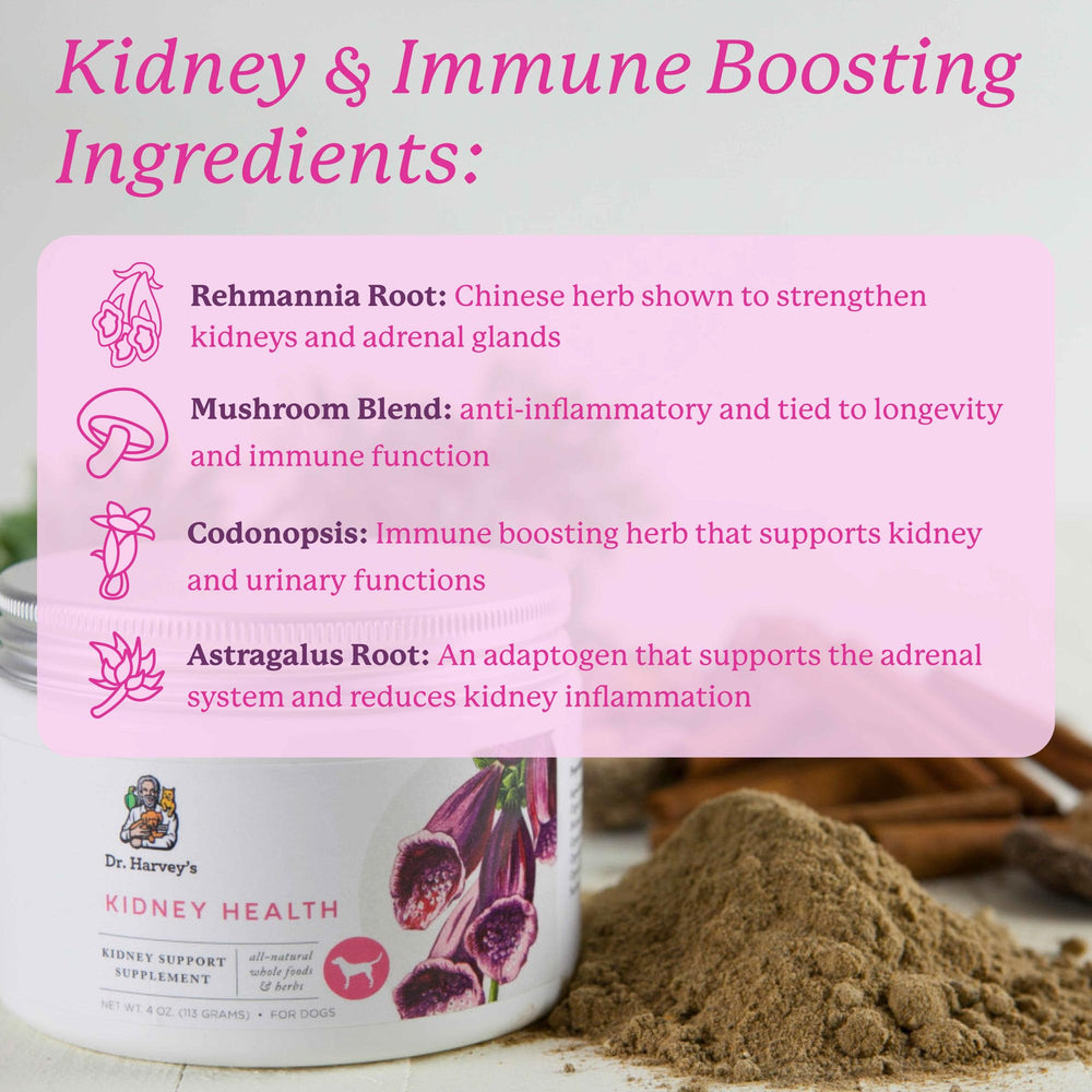 Rehmannia root ingredient in Dr. Harvey's Kidney Health for dogs.