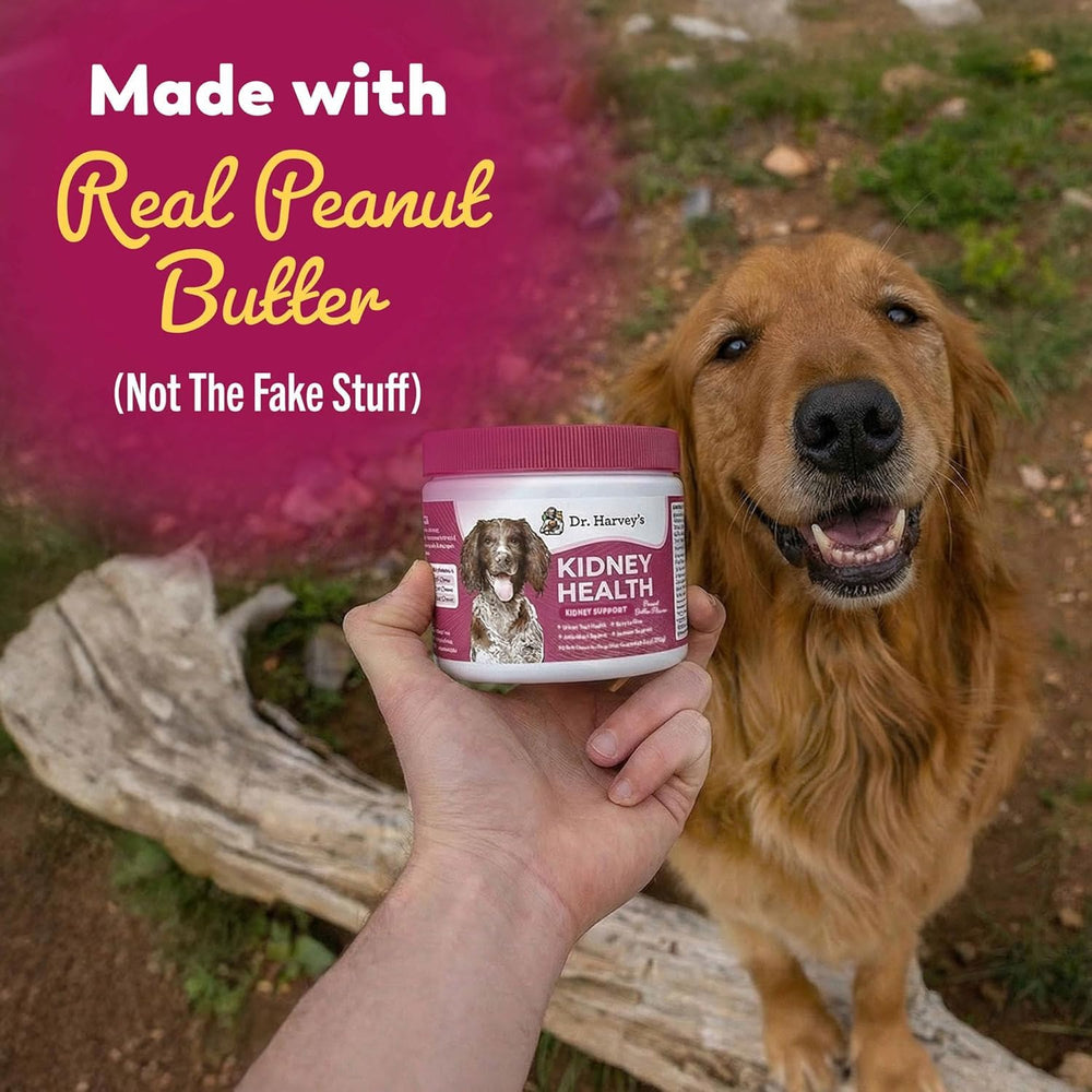 Dr. Harvey’s Kidney Support Soft Chews includes dandelion and milk thistle for detox pathways
