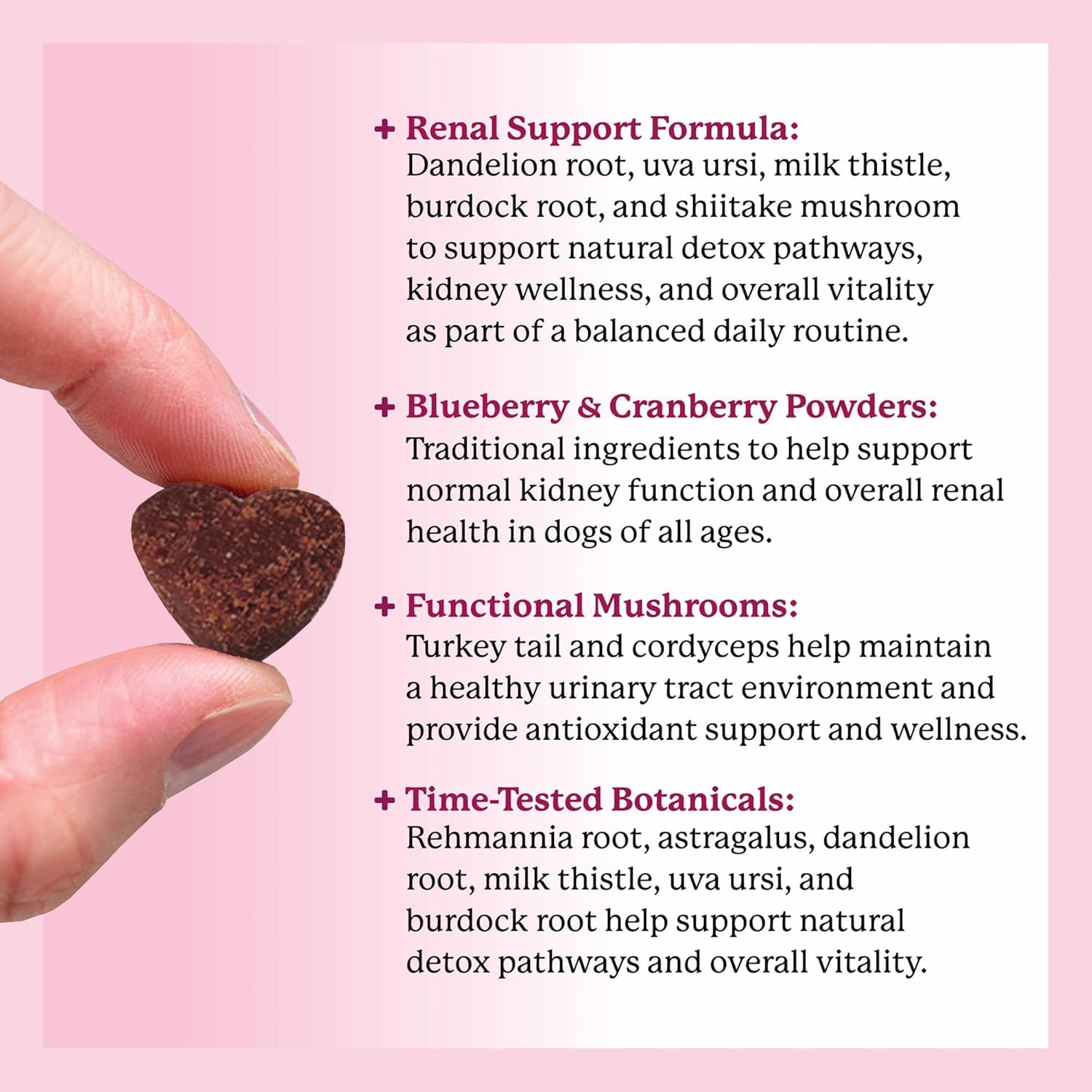 Dr. Harvey’s Kidney Support Soft Chews turkey tail mushroom for daily wellness