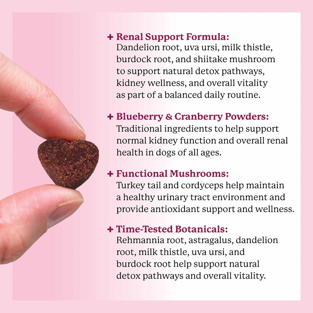 Dr. Harvey’s Kidney Support Soft Chews turkey tail mushroom for daily wellness