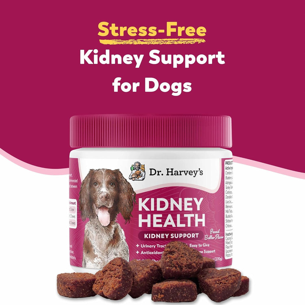 Dr. Harvey’s Kidney Support Soft Chews dog palatable taste supports consistent feeding