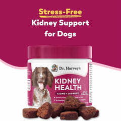 Dr. Harvey’s Kidney Support Soft Chews dog palatable taste supports consistent feeding