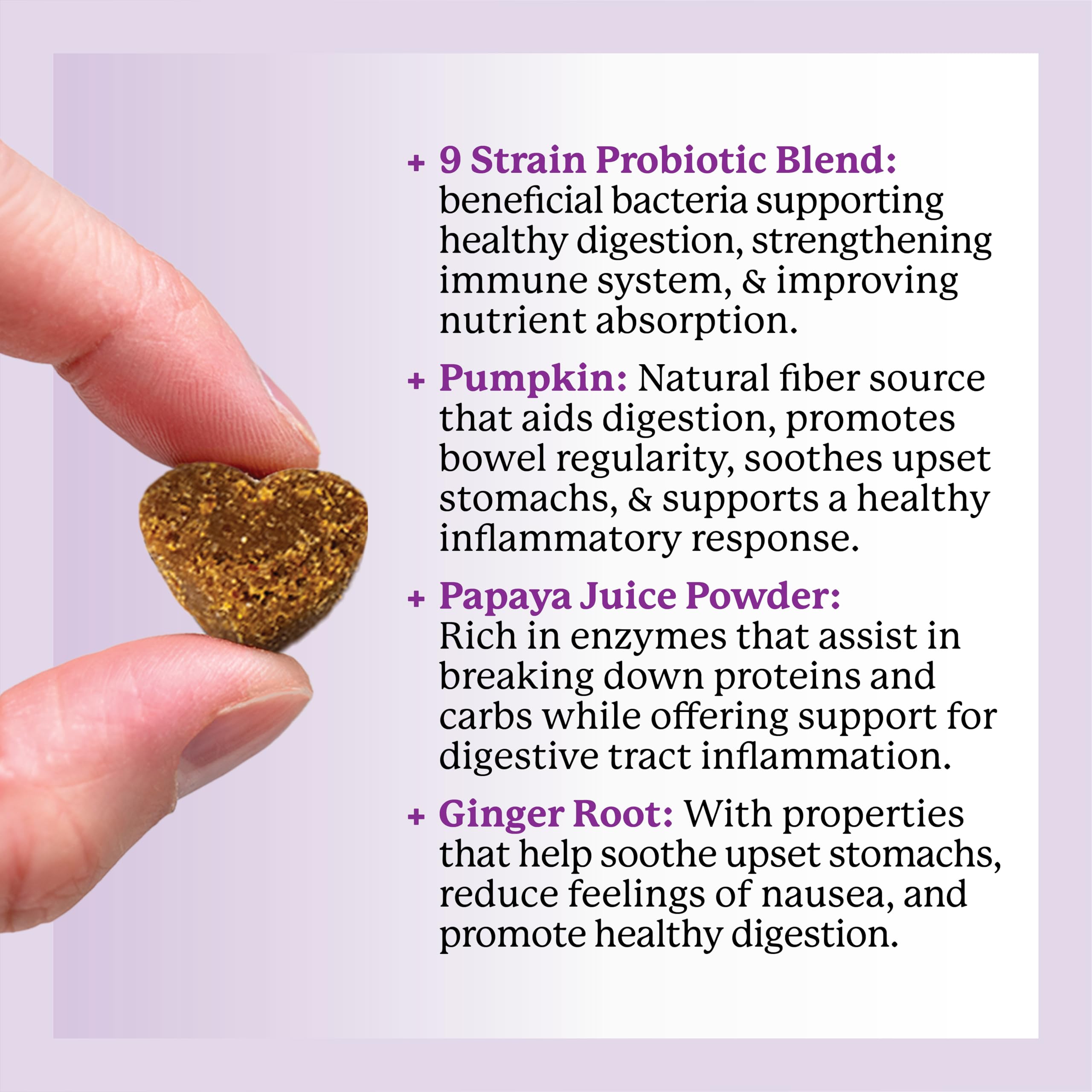 Dr. Harvey's Digestive Probiotic Soft Chews with pumpkin and apple fiber.