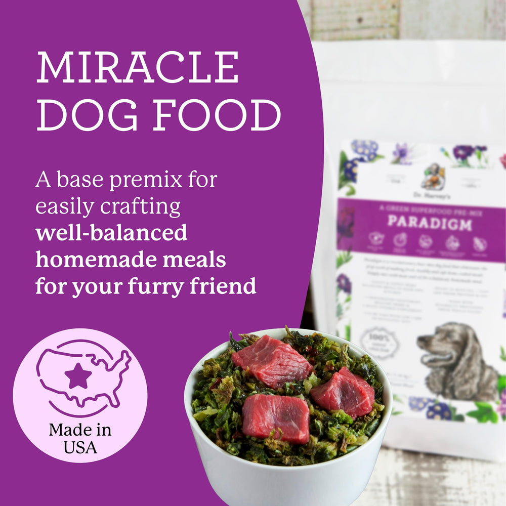 Rehydrating Paradigm Green Base Mix creates a quick, nutrient-dense base for your dog's dinner.