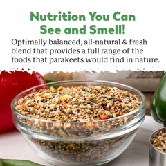 Dr. Harvey's parakeet seed and nut mix close-up, showcasing variety for a healthy diet.