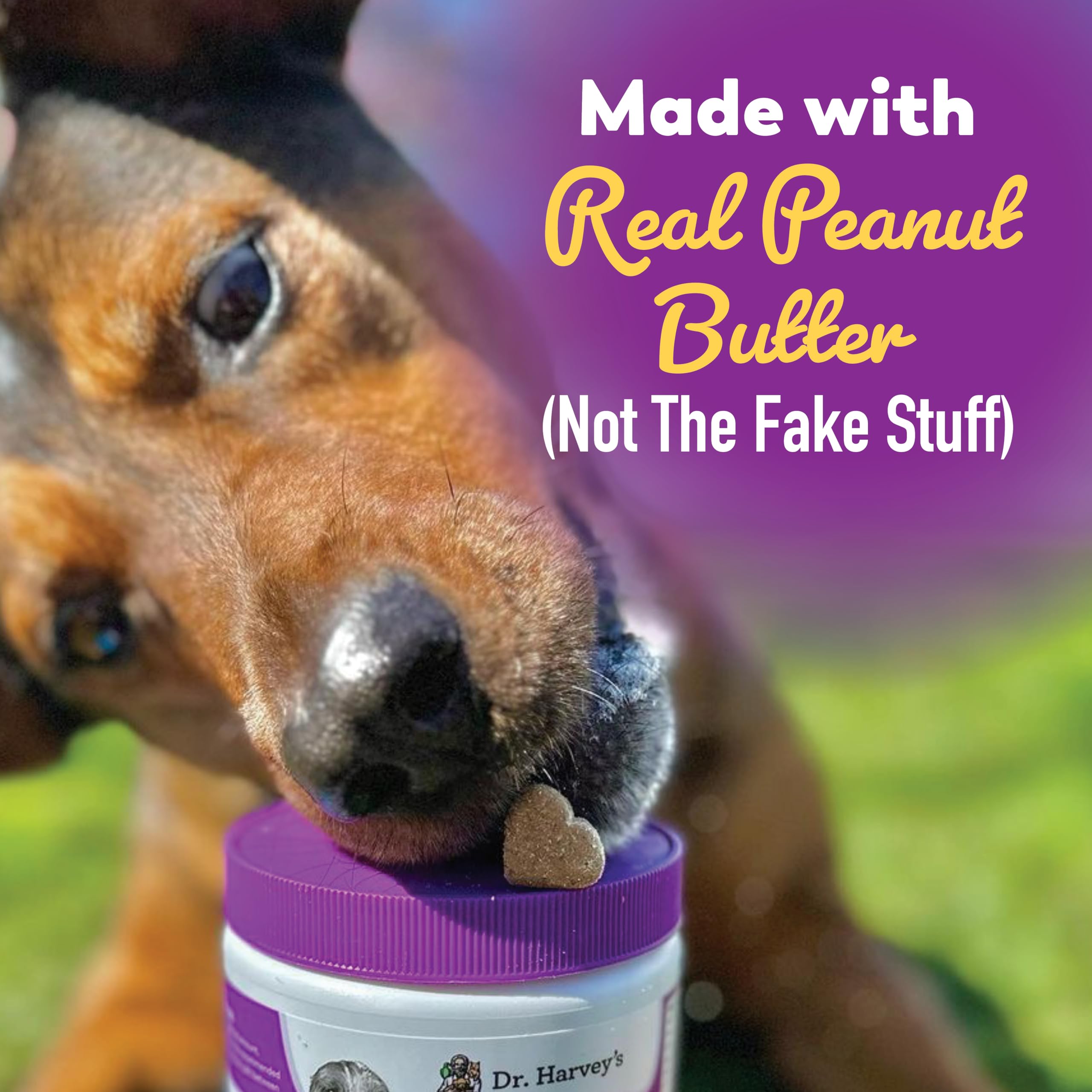Dr. Harvey's NASC Quality Seal signals high canine probiotic standards.