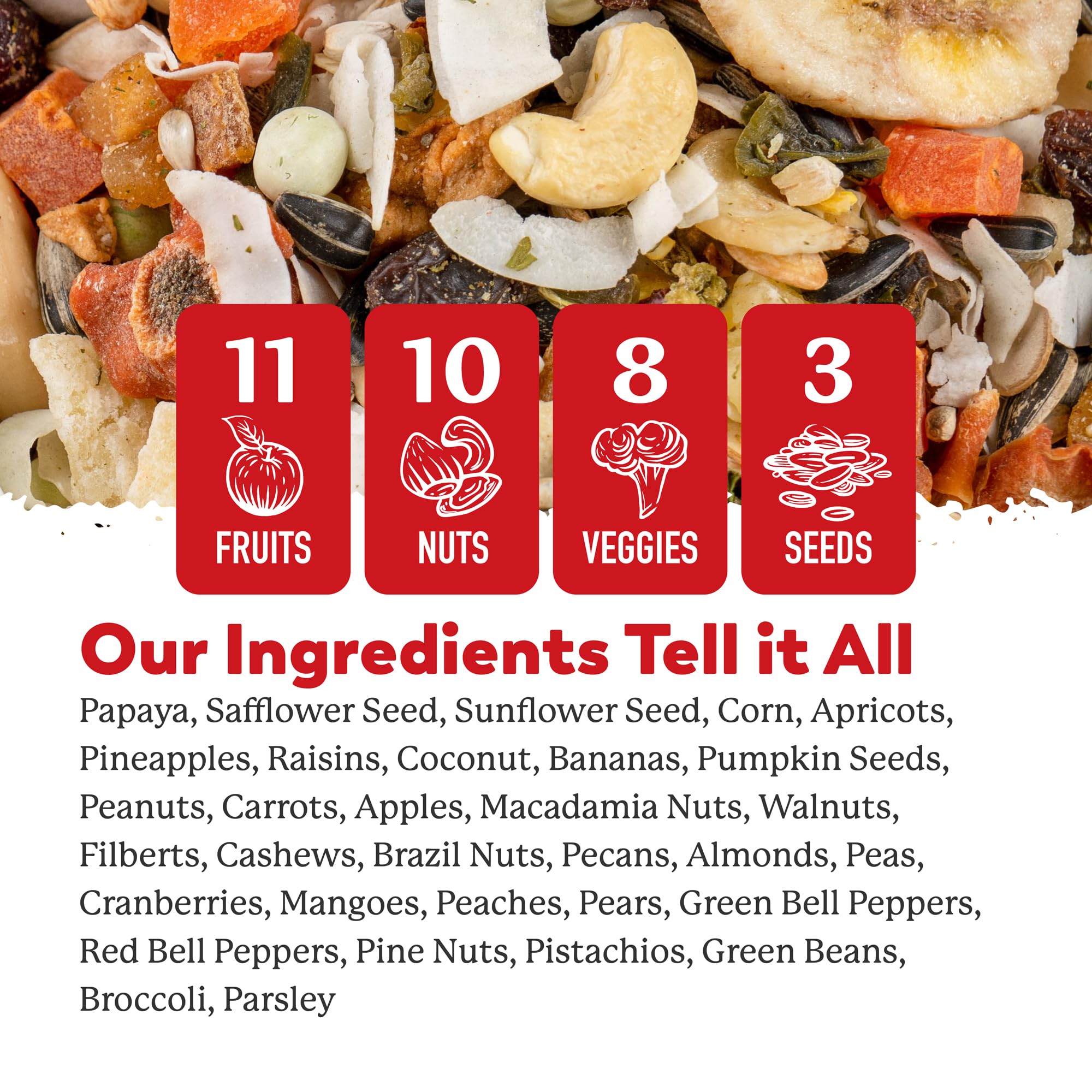 Dr. Harvey's Perfect Parrot Blend served bowl for foraging-inspired feeding