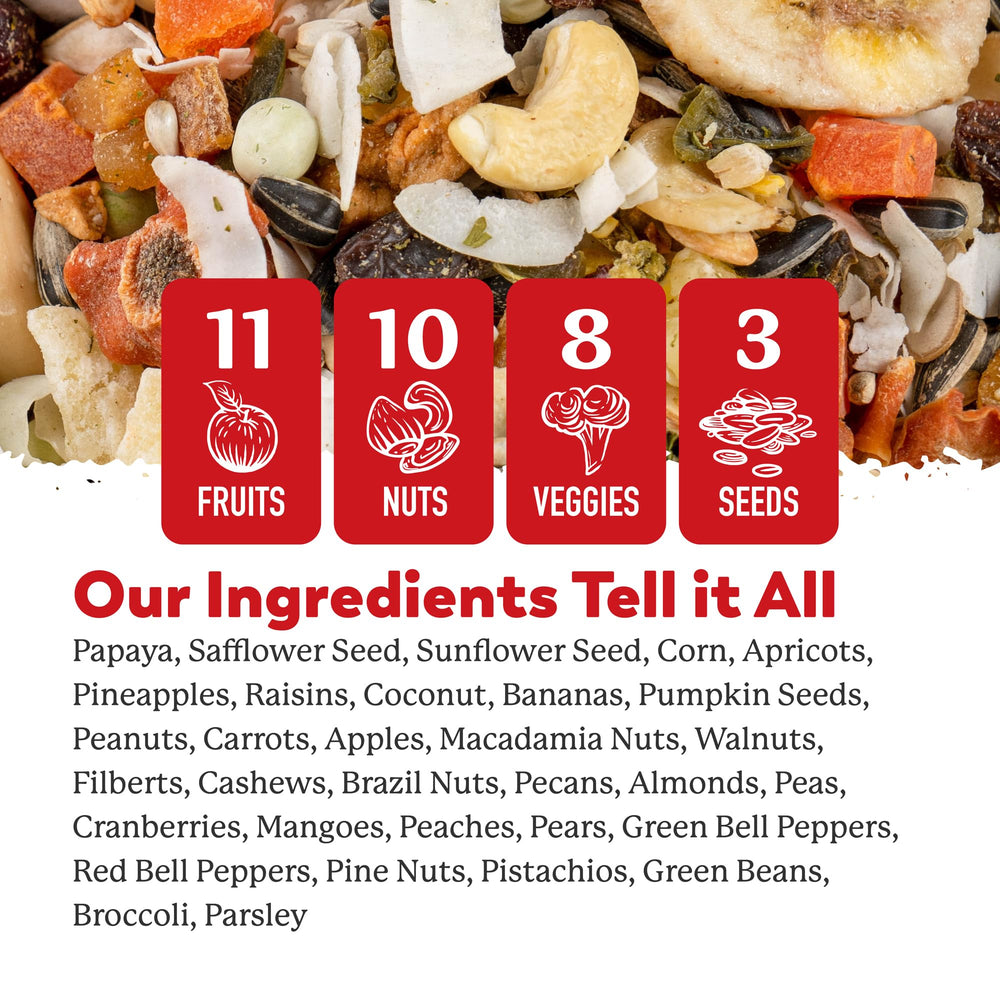 Dr. Harvey's Perfect Parrot Blend served bowl for foraging-inspired feeding