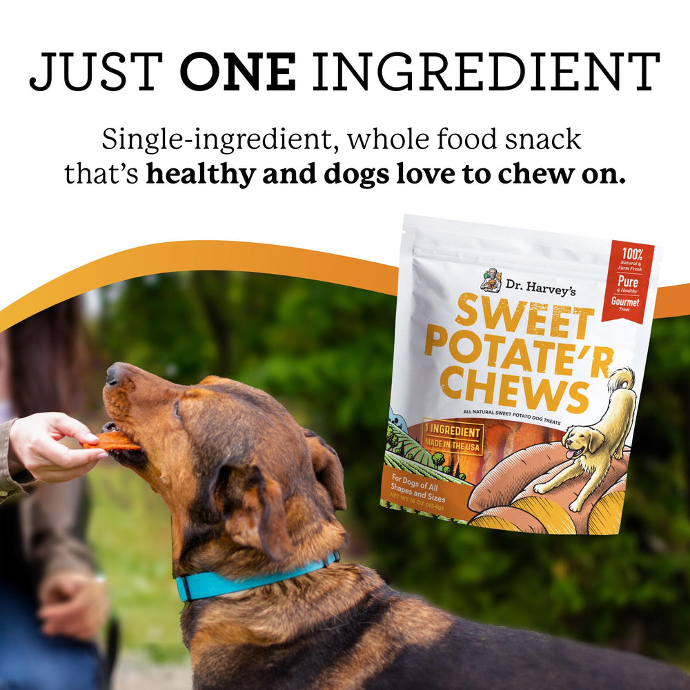 Dr. Harvey's Sweet Potato Chews small dog treat for training rewards.