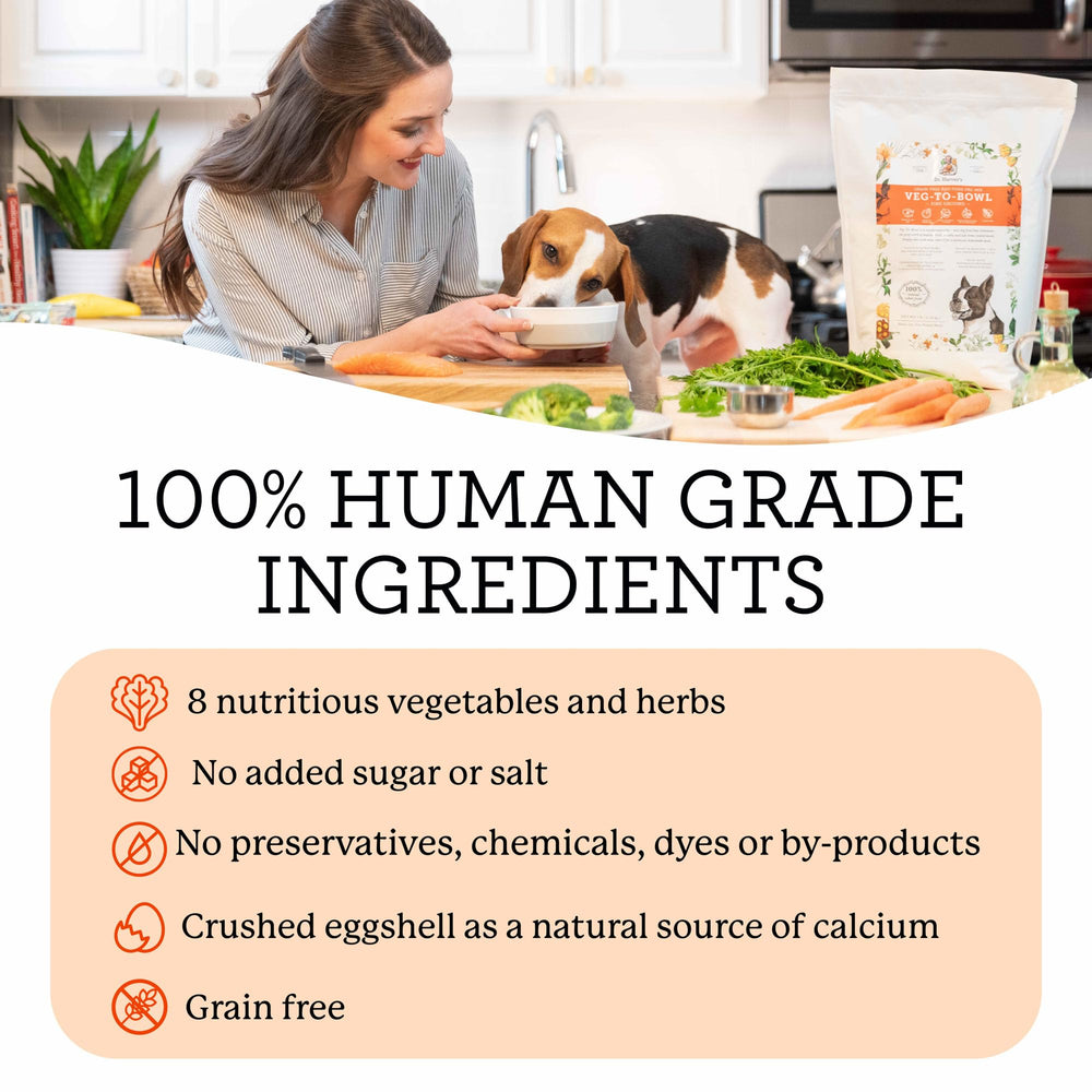 Dr. Harvey's Veg-to-Bowl 9-vegetable blend provides nutrient-dense base for homemade dog dinners