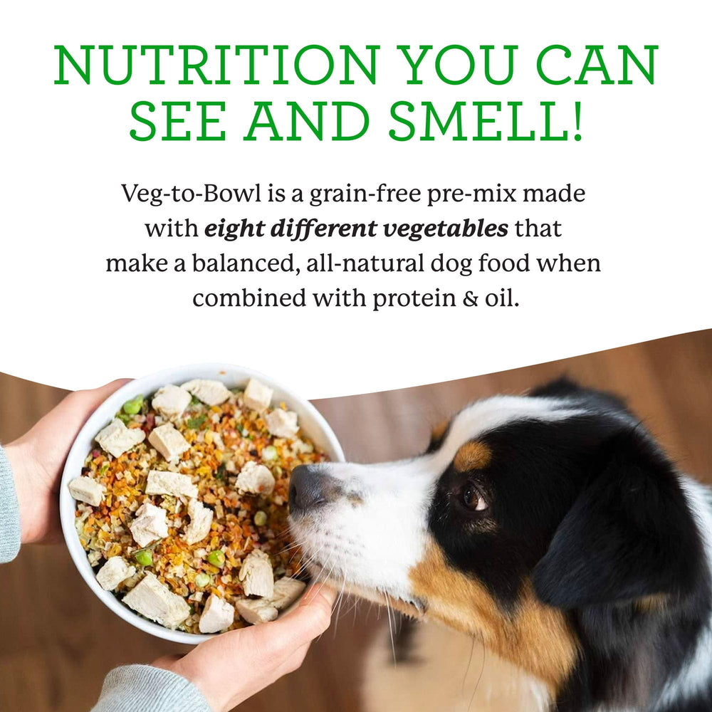 Dog enjoying a Veg-to-Bowl meal served in a bowl