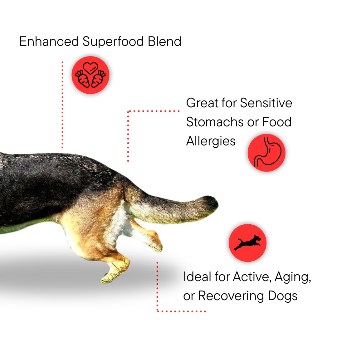 Bottle showing 3g collagen per serving in Dr. Kellyann Bone Broth Topper for dogs.