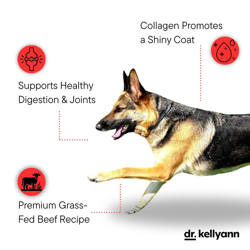 Serving bowl with Dr. Kellyann Bone Broth Meal Topper, grain-free for sensitive stomachs.