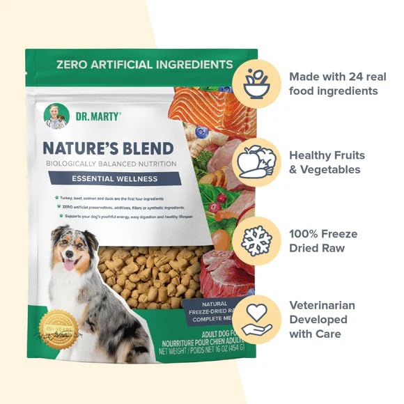 Dr. Marty Nature's Blend freeze-dried raw pieces close-up showing texture