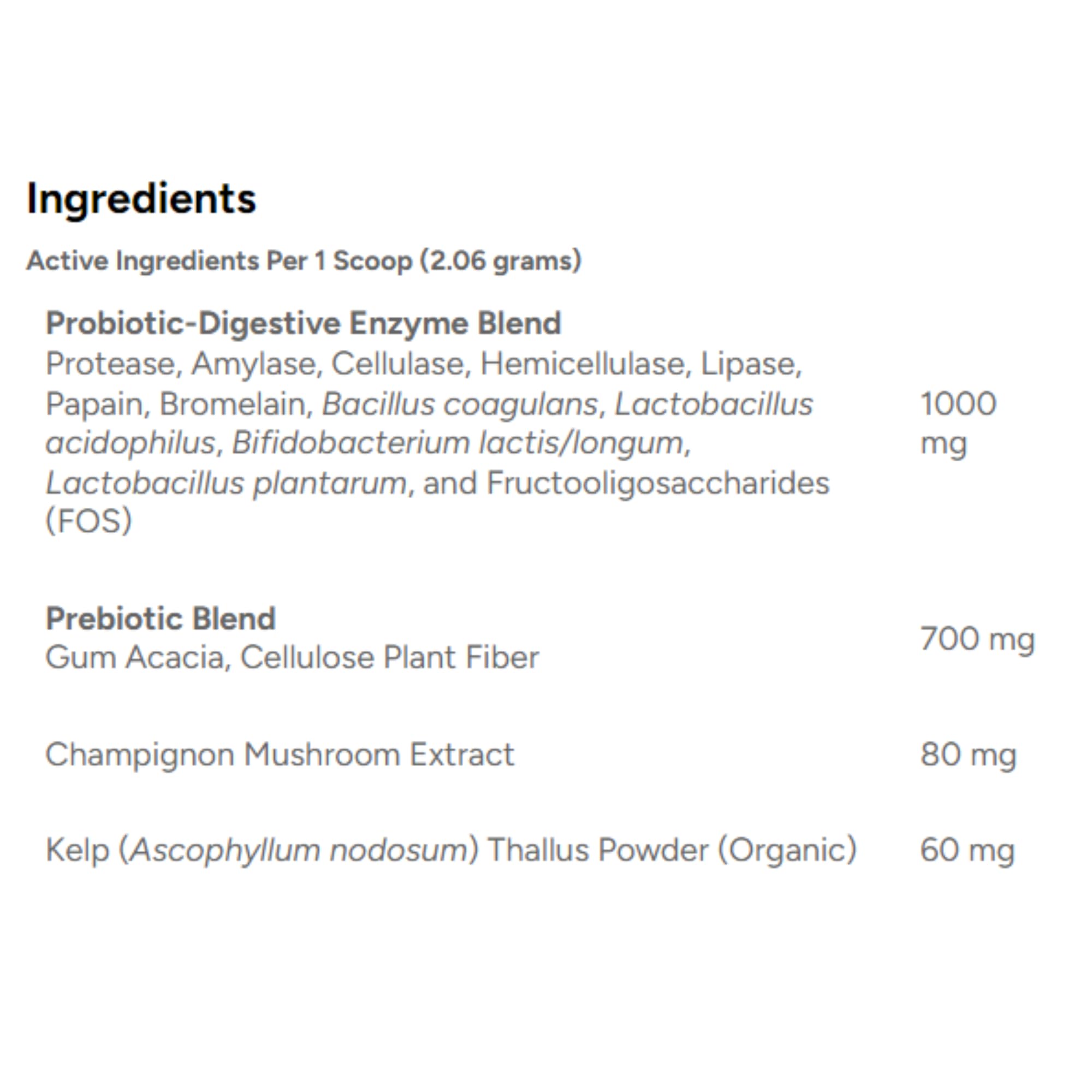 Dr. Marty ProPower Plus probiotic powder topping added to dog meals easily.