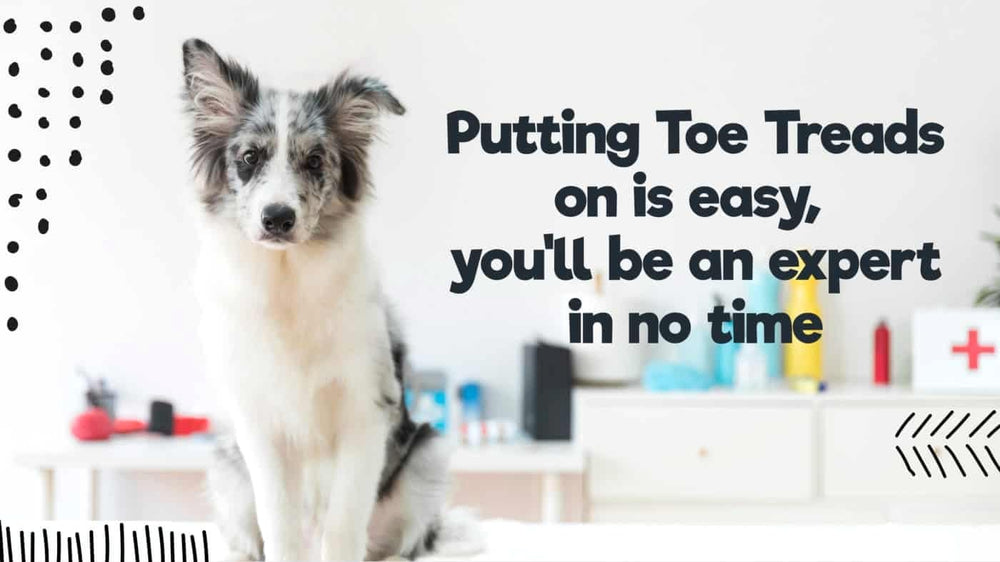 Dr. McHenry's Dog Toe Treads trusted by vets and clinics worldwide.
