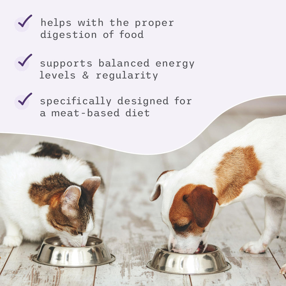 Dr. Mercola Bark & Whiskers ingredients close-up emphasizes clean, meat-forward formula