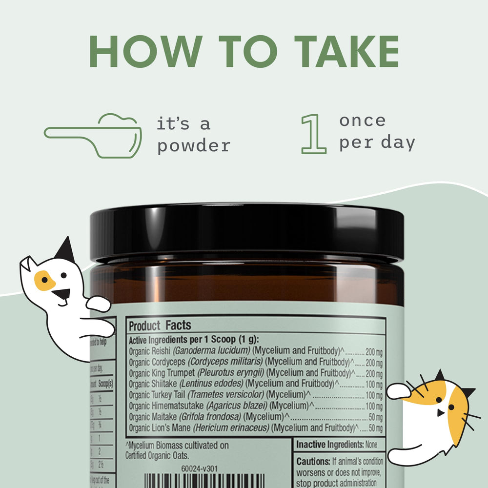Dr. Mercola Bark & Whiskers packaging highlights clean ingredients and transparency.