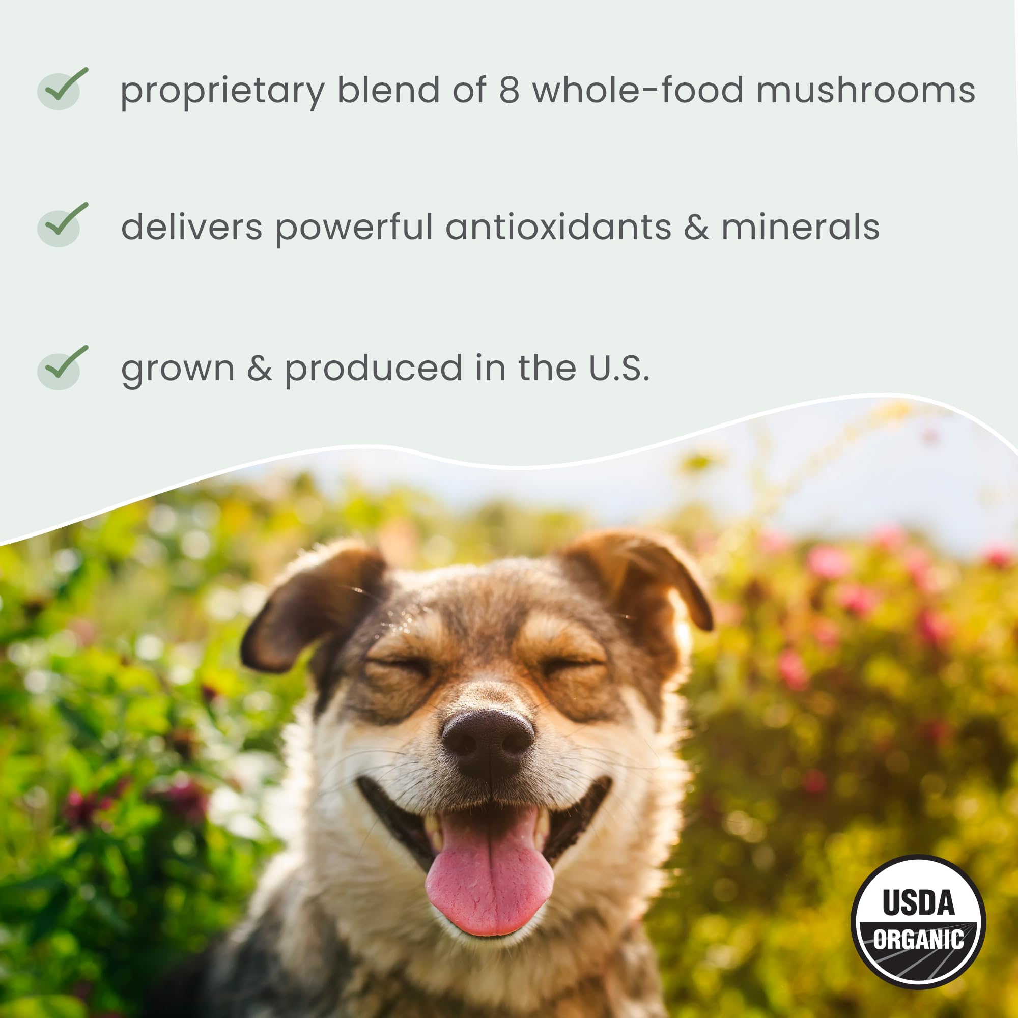 Dr. Mercola Bark & Whiskers daily-wellness powder beside pet bowls.