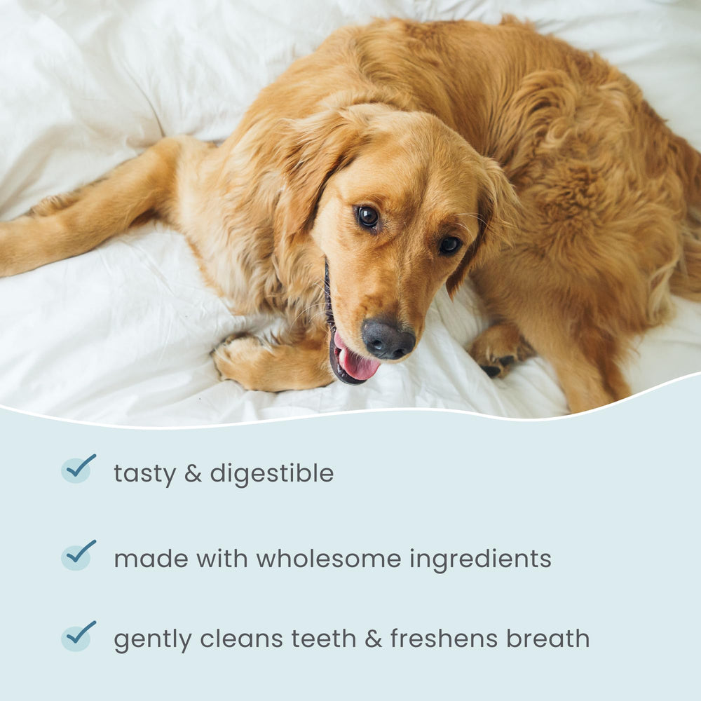 Dr. Mercola Bark & Whiskers breath-freshening chew during daily routines