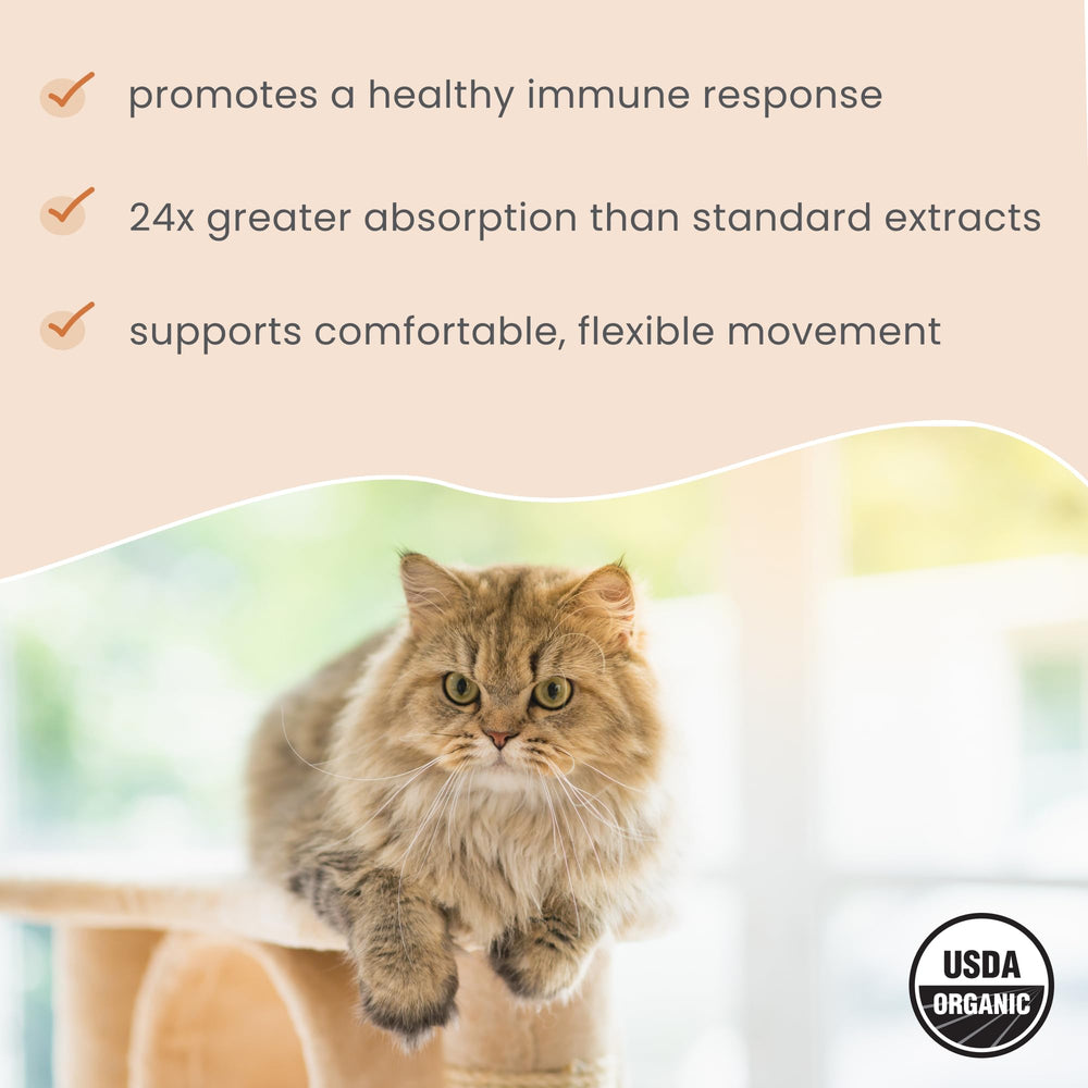 Dr. Mercola Bark & Whiskers Organic Curcumin dosing illustration demonstrates simple pet supplementation.