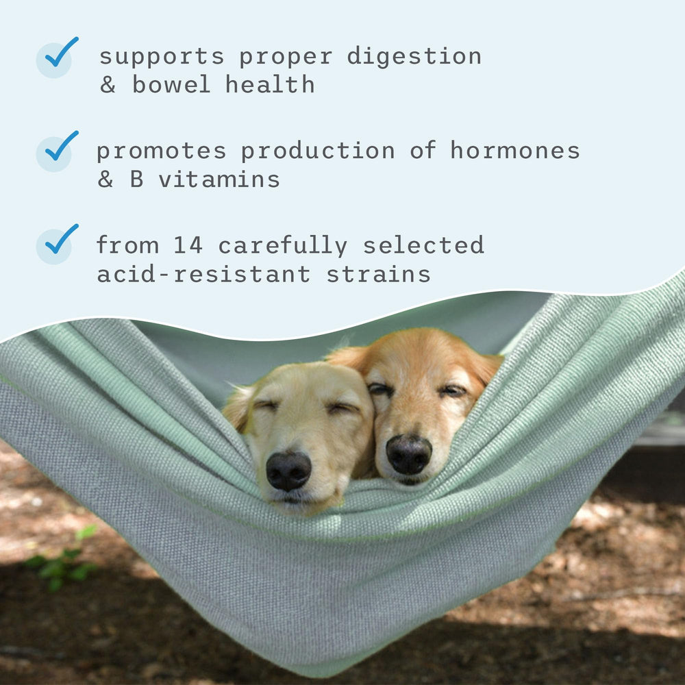 Dr Mercola Bark Whiskers probiotics with pets illustrates canine and feline use