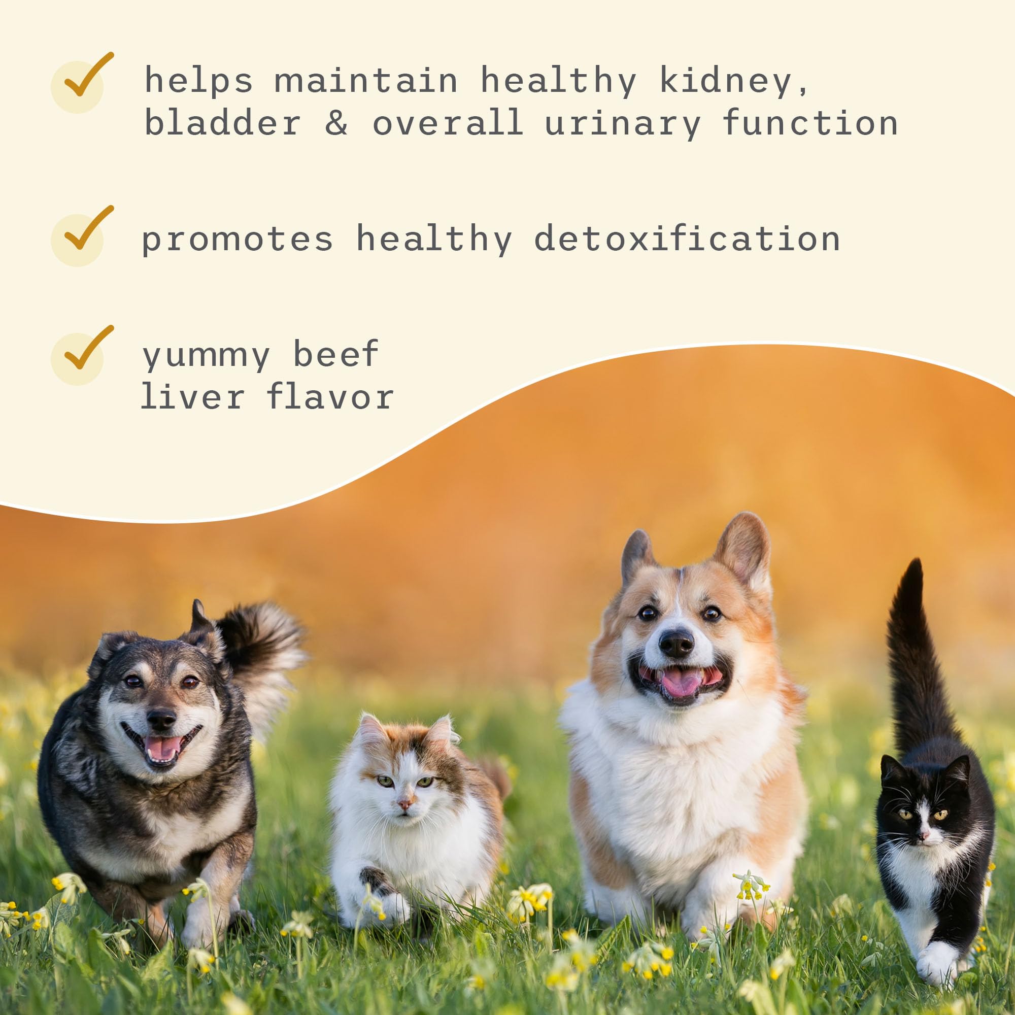 Dr. Mercola Bark & Whiskers vet formulated seal suggests thoughtful formulation.