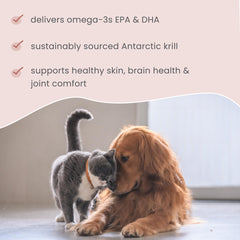 Gluten-free label on Bark & Whiskers Krill Bites indicating grain-free nutrition