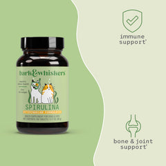 Dog enjoying a meal with SpiruGreen supplement