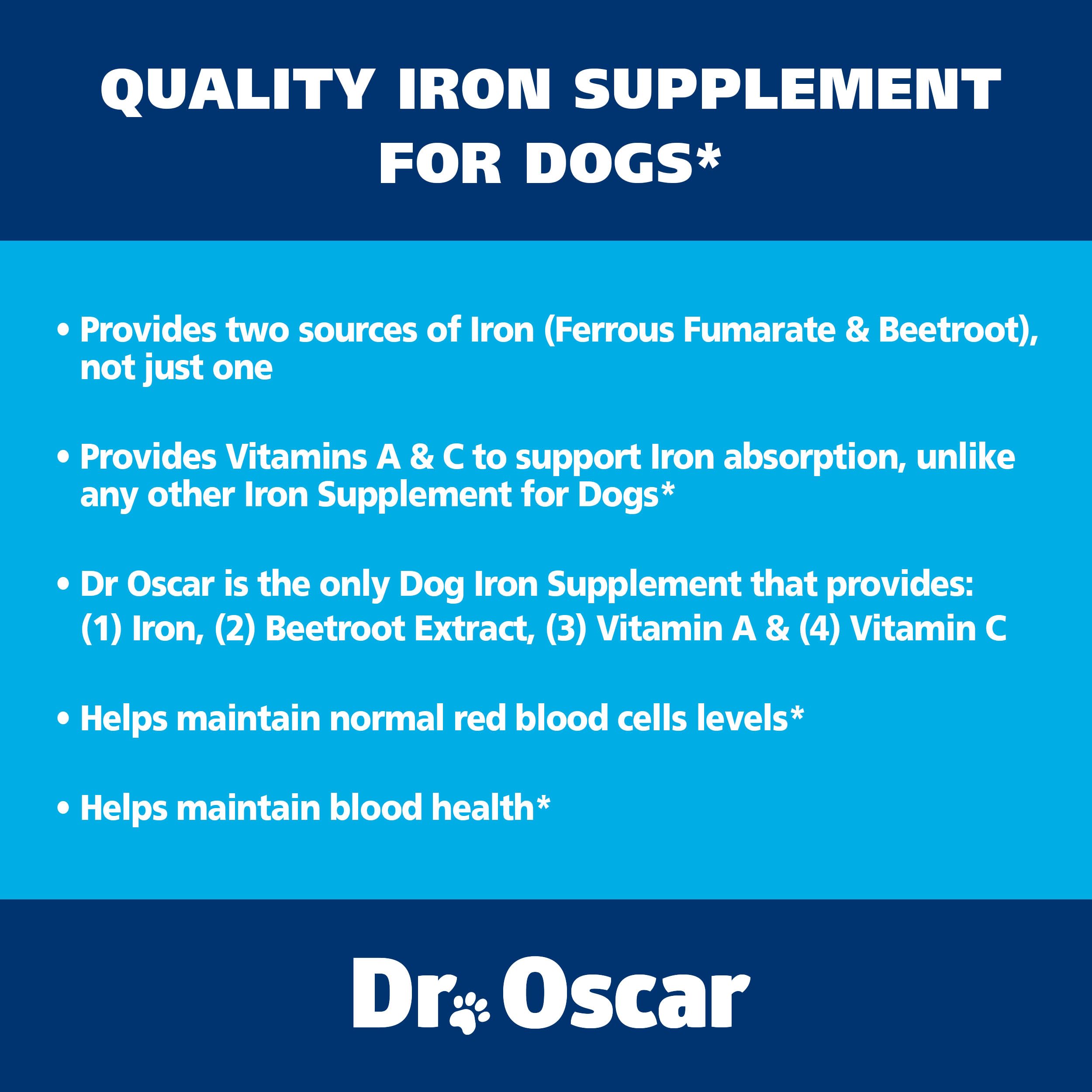 Energetic dog active outdoors with Dr. Oscar Blood Aid for Dogs.
