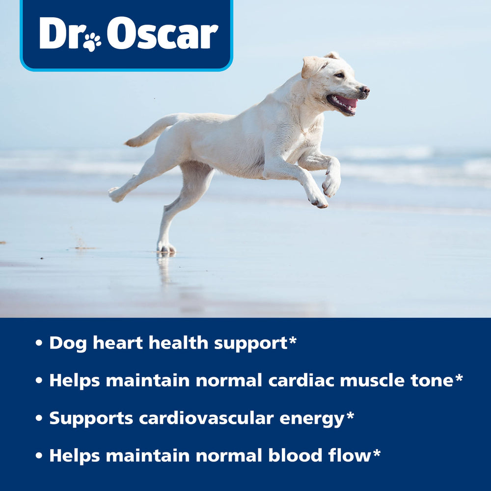 Dr. Oscar Taurine ingredient list highlighting non-GMO and gluten-free qualities