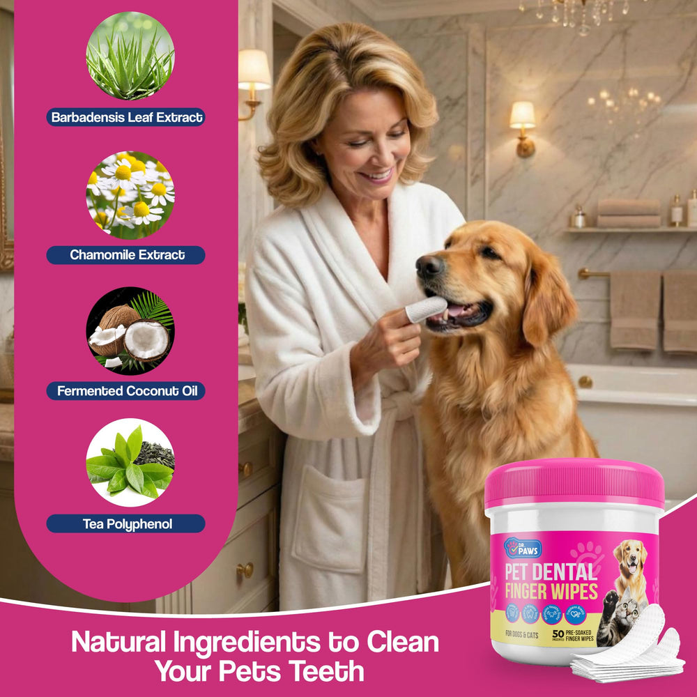 Dr. Paws plaque removal with pet finger wipes for fresher breath on dogs.