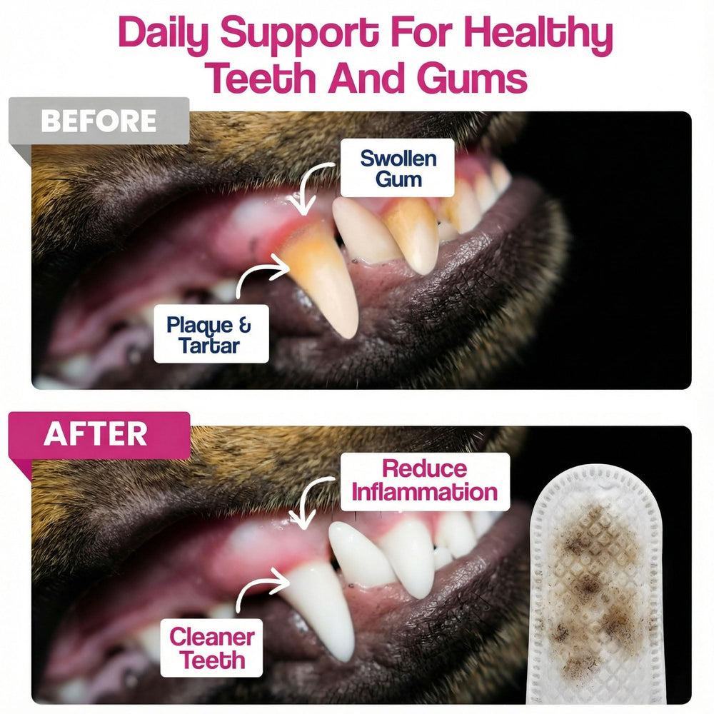 Dr. Paws soft, gum-friendly wipes for routine oral care.