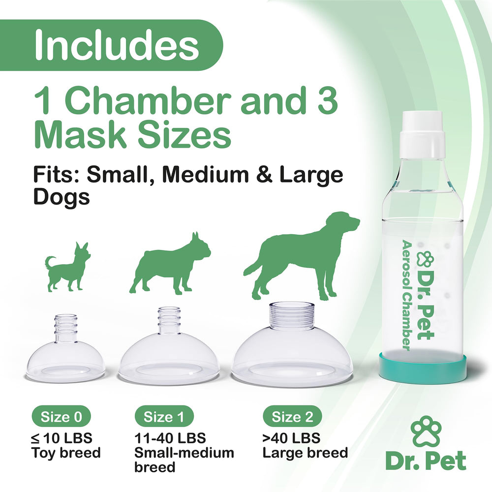 Dr. Pet durable PP and silicone construction supports long-term use.