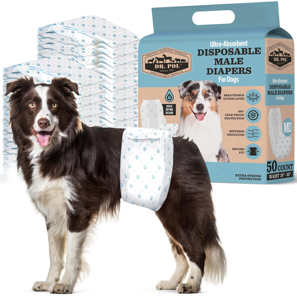 Dr Pol Dog Wrap packaging shows disposable design for on-the-go care