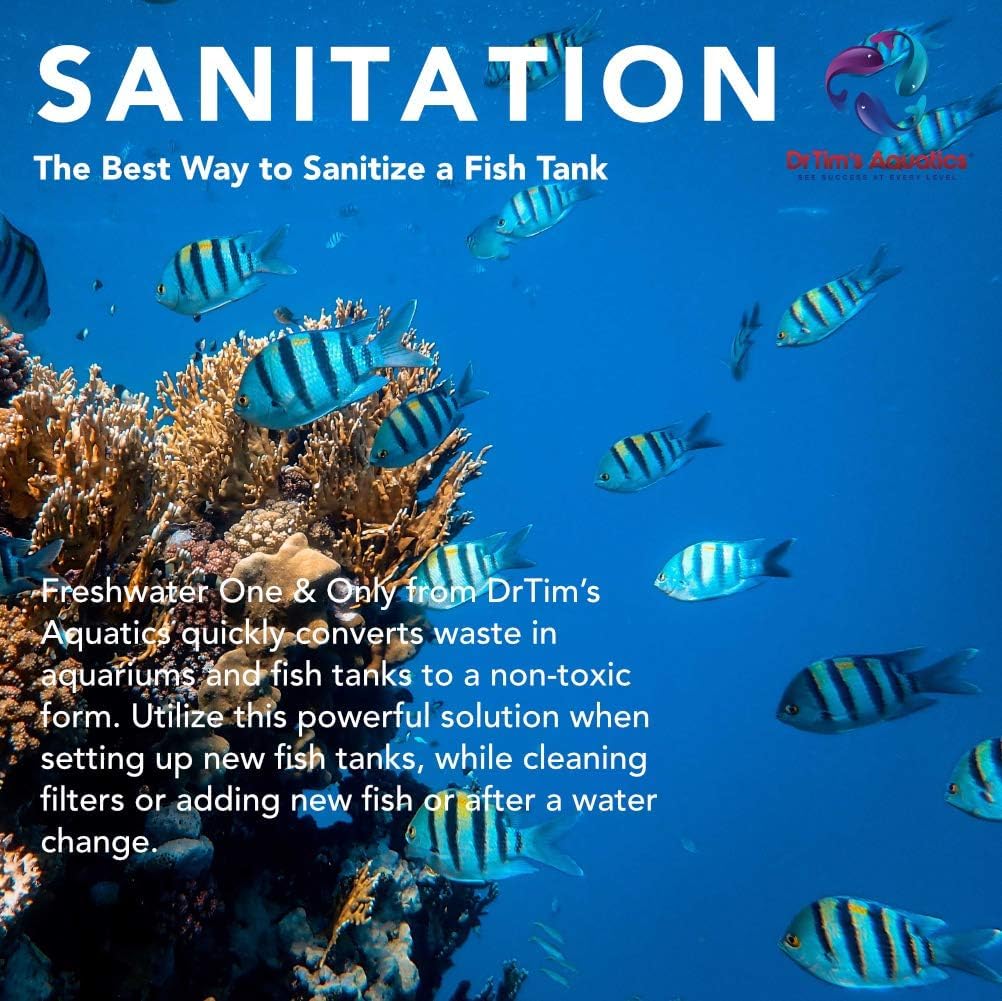DrTim's Aquatics One and Only Freshwater used during tank setup for smoother cycling.