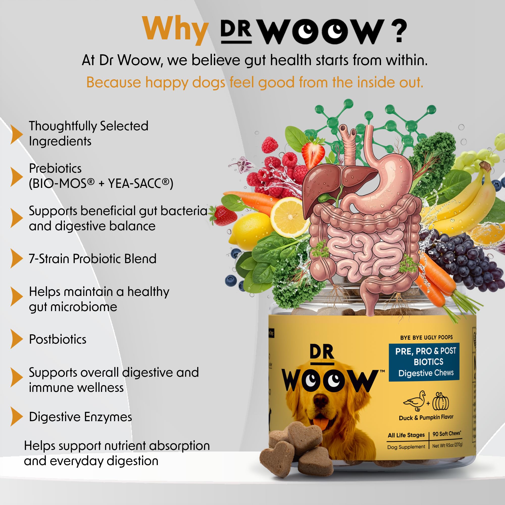 Close-up of DR WOOW probiotics for dogs treats