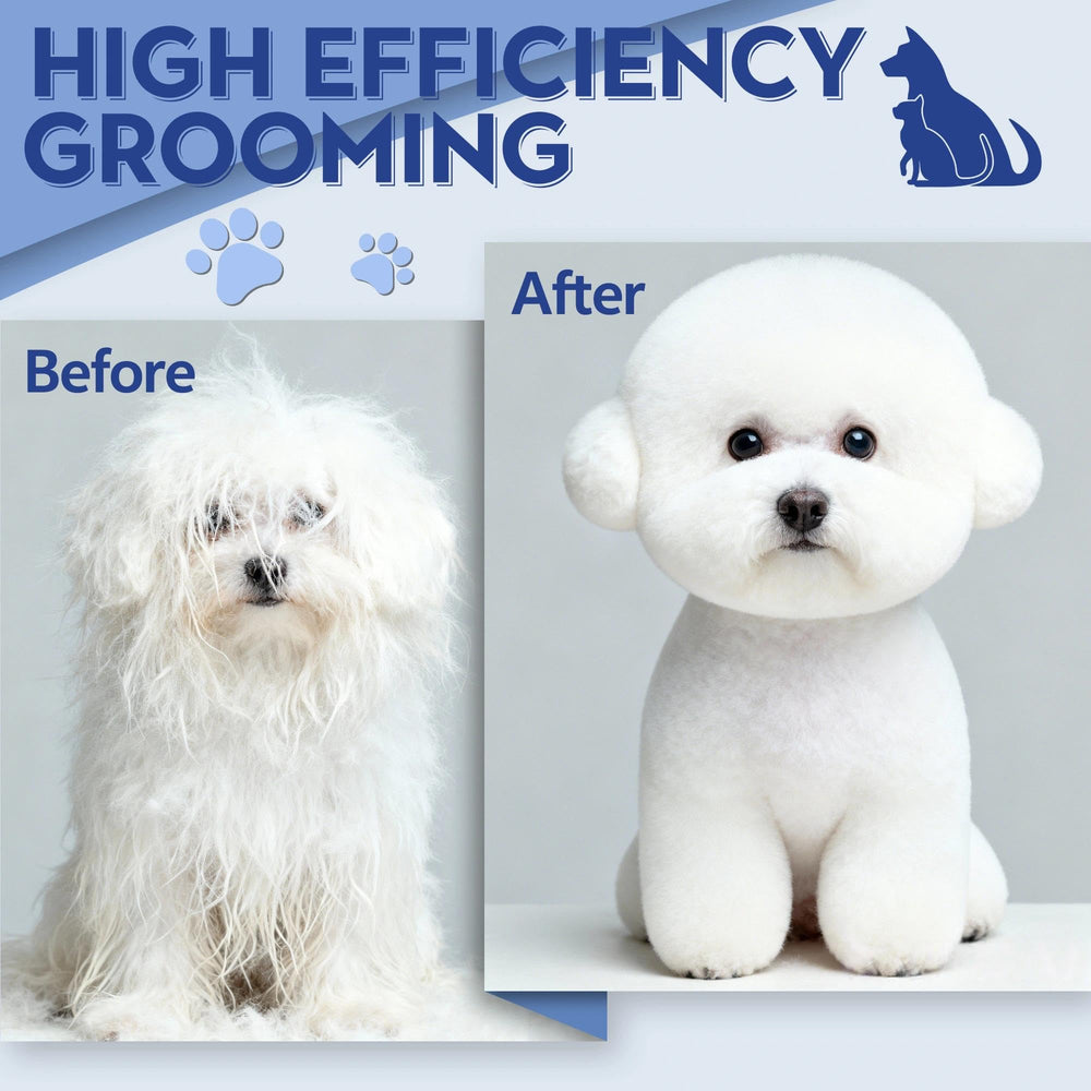 Dragon Creek eyes-face-paws grooming with curved blades for sensitive areas.
