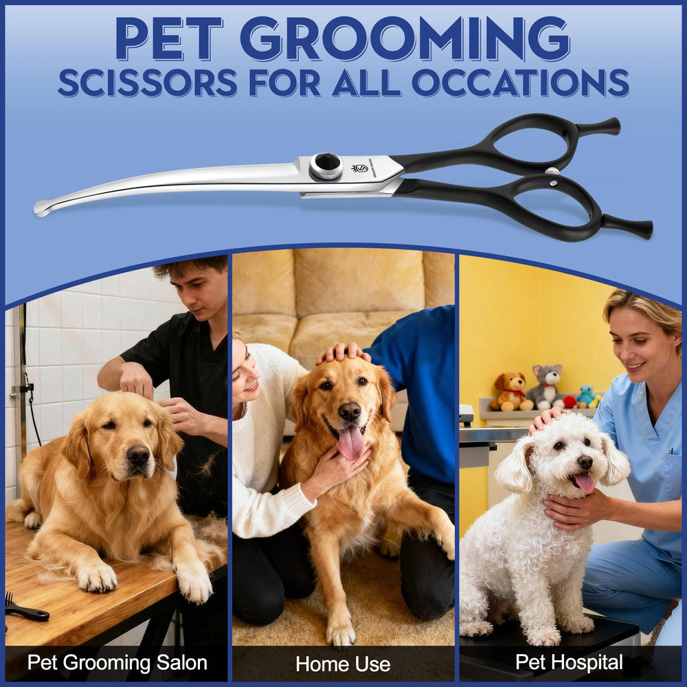 Dragon Creek storage-case oil-coated dog scissors for safe, ready-to-use care.